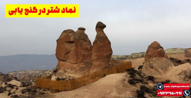 نماد شتر در گنجیابی