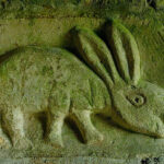 نماد و نشان خرگوش در گنج یابی
