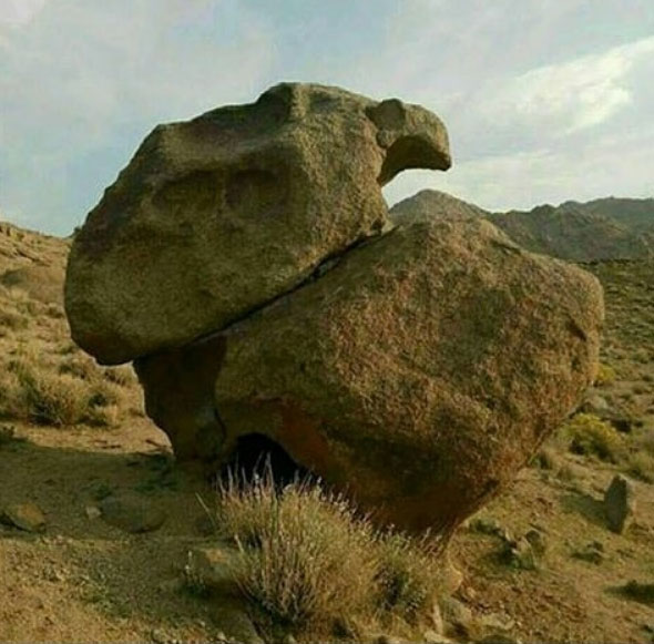 معنی و مفهوم نشان دو لاکپشت نر و ماده در حال جفت گیری