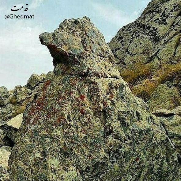 نماد پرندگان در گنج یابی
