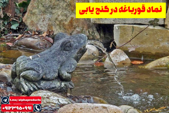 نماد قورباغه در گنجیابی