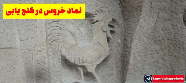 نماد خروس در گنج یابی