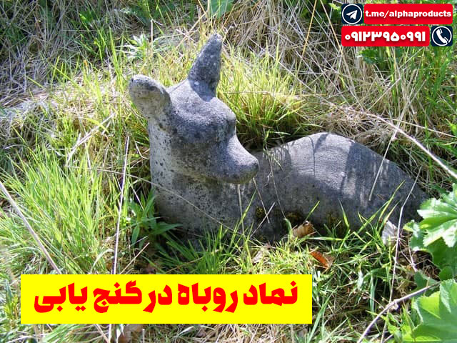 نماد روباه در گنجیابی
